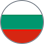bolgary flag